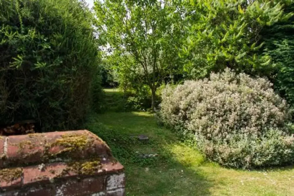 Host Stay Marlpit Cottage