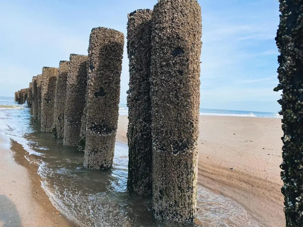 Vakantiehuis Domburg DO33