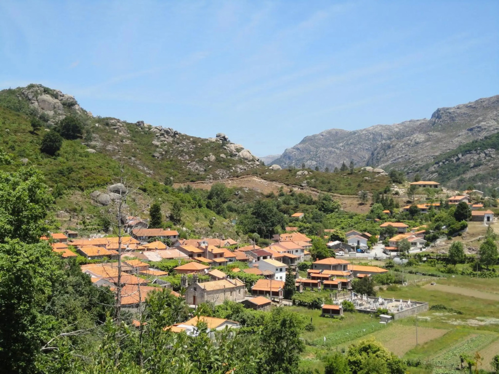 Melodia do Campo
