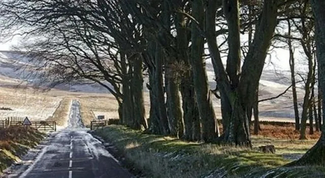 Whinmore