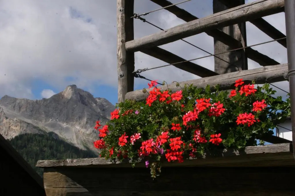Albergo Diffuso Sauris in Sauris Di Sopra