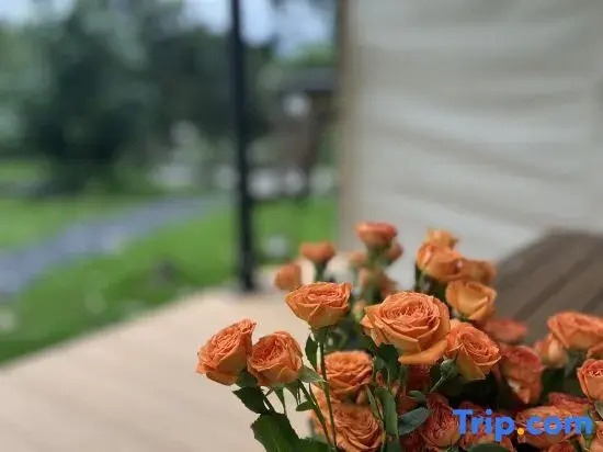 Relaxland Glamping (Guangzhou Zengcheng Baishuizhai Branch)