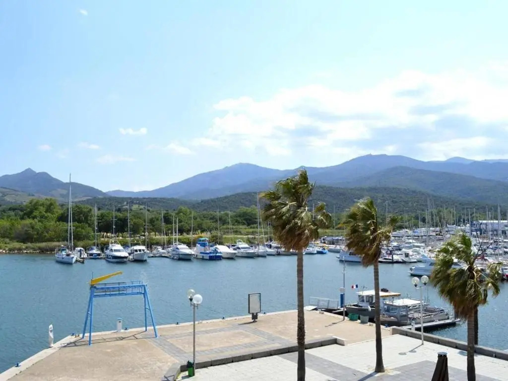 Appartement Argelès-sur-Mer, 2 pièces, 5 personnes - FR-1-225-579