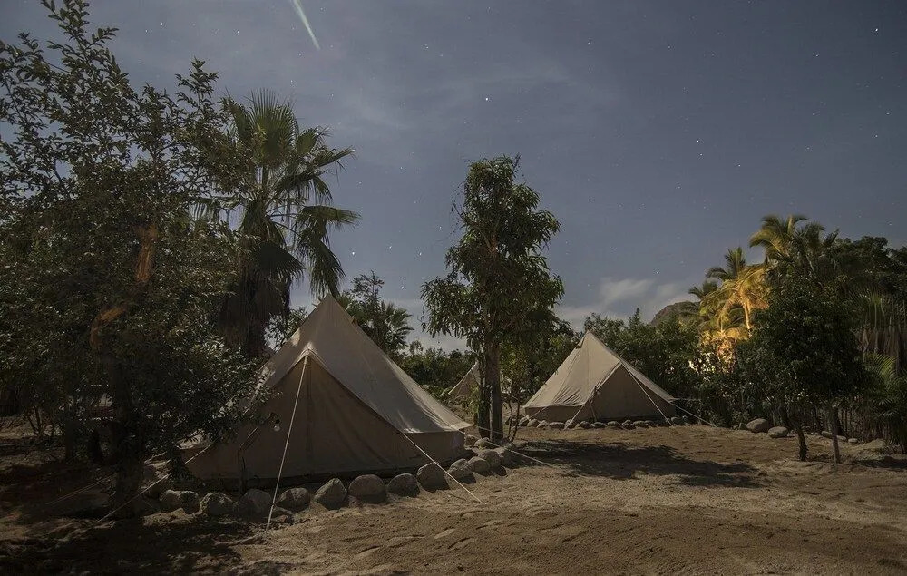 Todos Santos Hostel super fast and stable satellite wifi