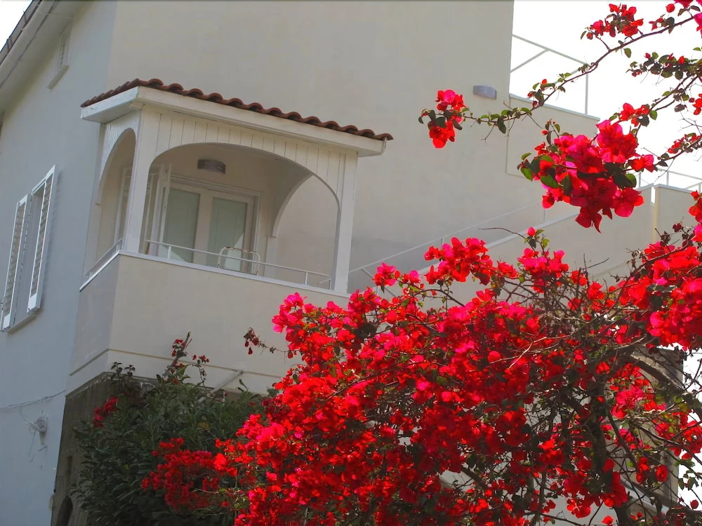 Regginè Holiday Apartments