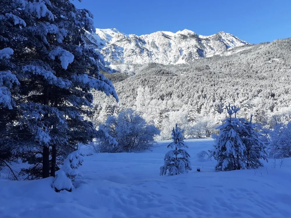 Bed and Breakfast Les Airelles
