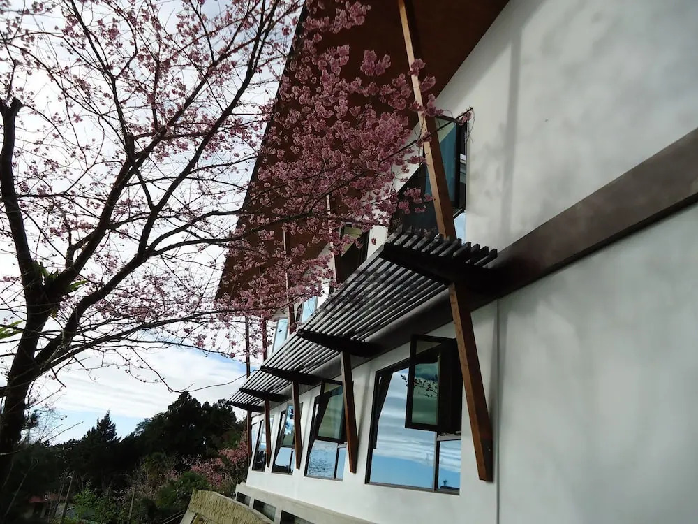 Long Yun Farm