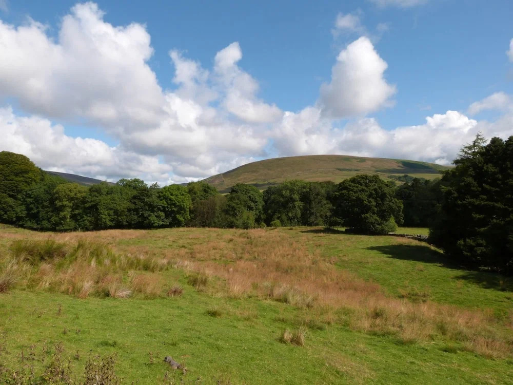 ViewLangho