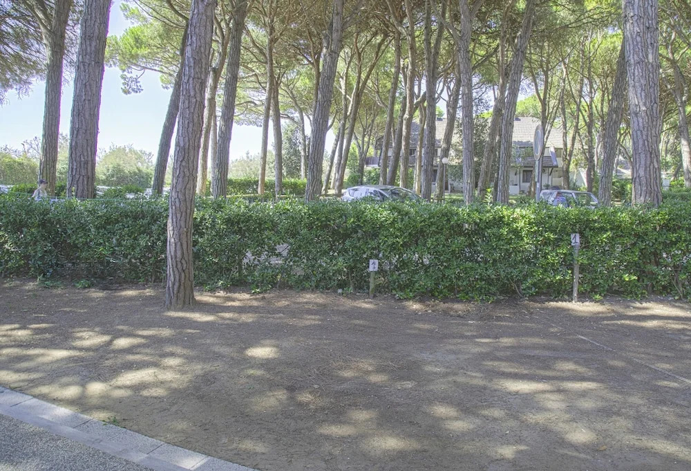 Apartment in Pine Forest Near the Beach