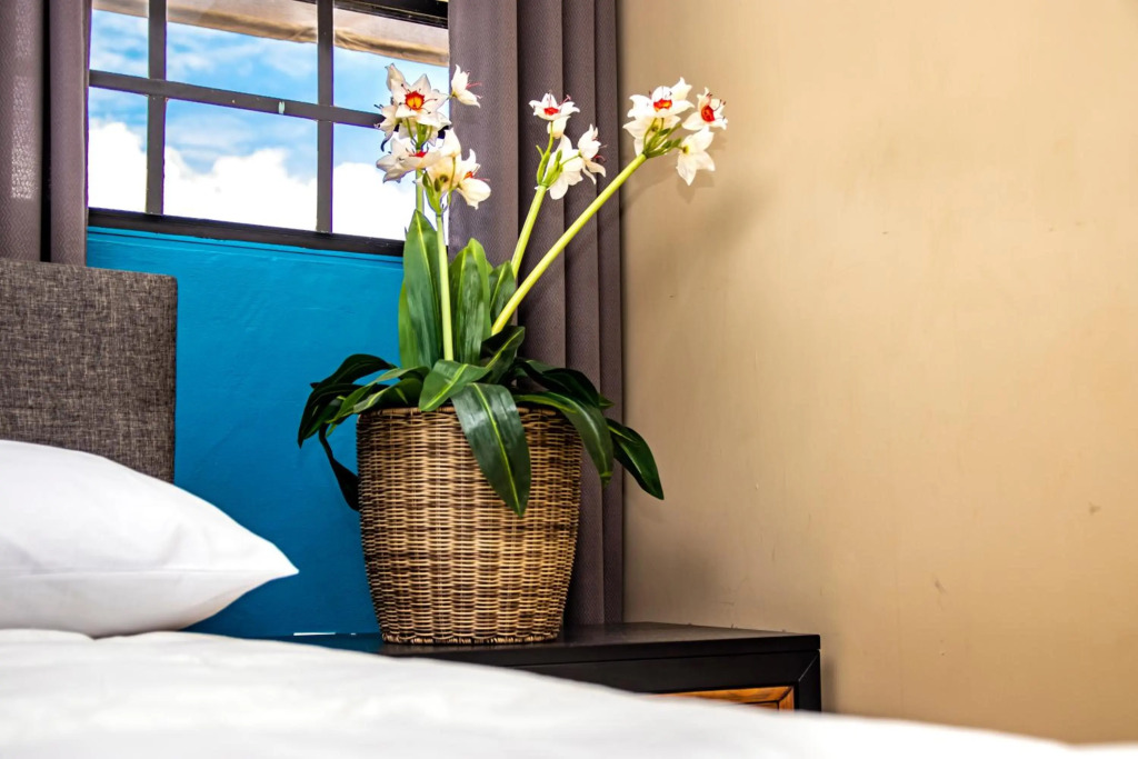 CityLife Apartments in historic Willemstad - 2 bedroom apartment with attic - O