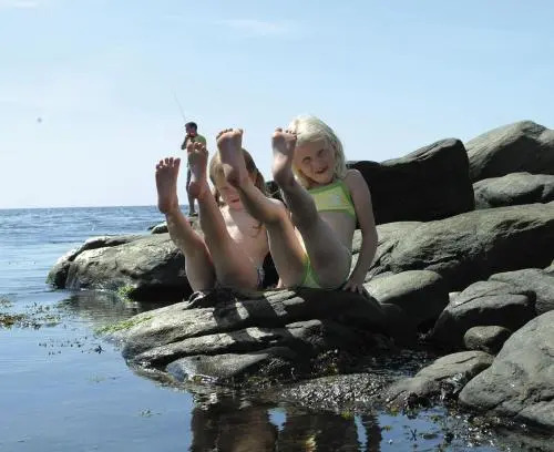 Skrea Camping