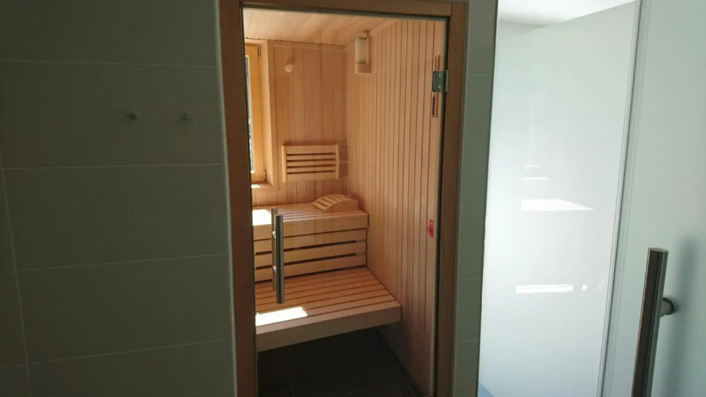 Apartment SCHLADMING - Planai view