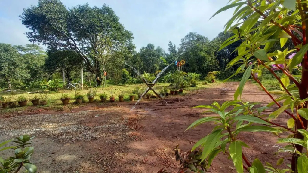 Coorg Coffee Country Park by StayApart