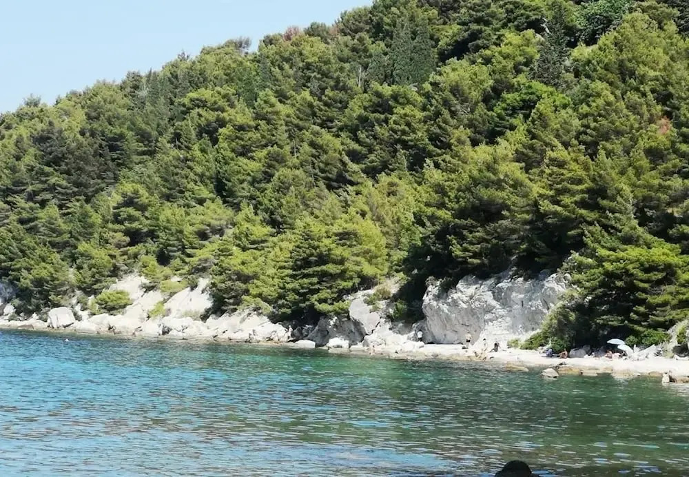 Dragi - Great Location & Comfortable - SA1