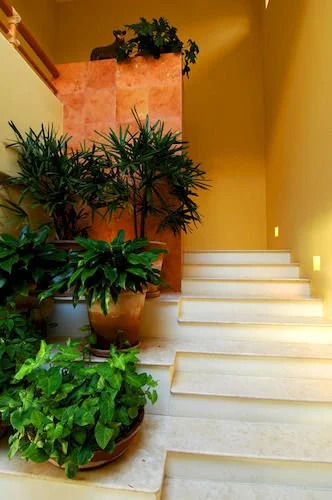 Casa del Campo Punta Mita