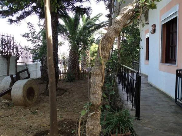 Evita Beach Apartments