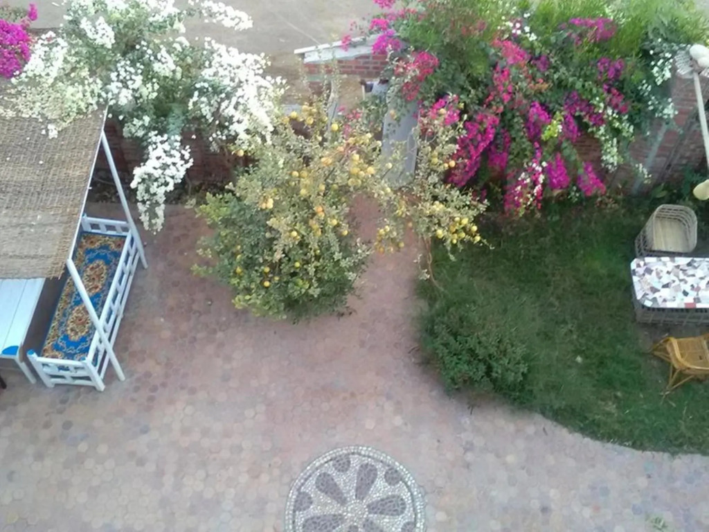 in luxor apartment