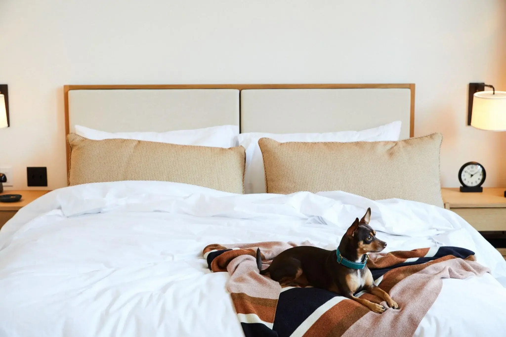 Shinola Hotel