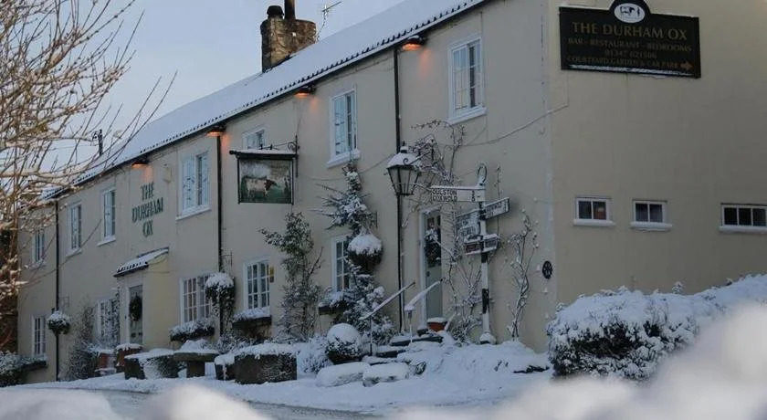 The Durham Ox