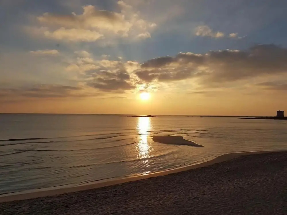 VeV salento