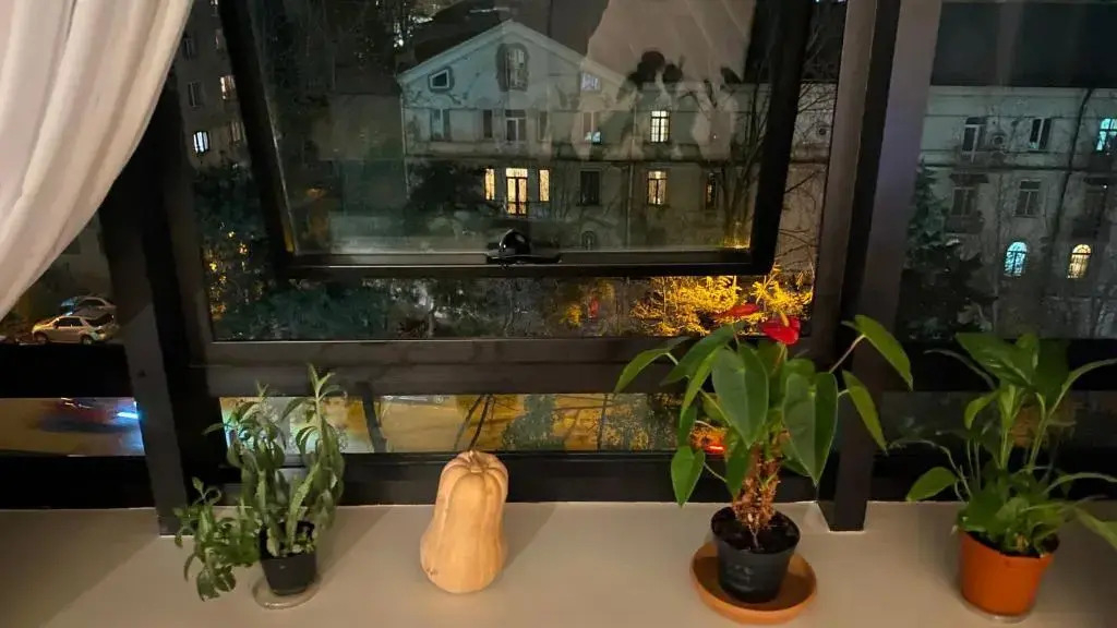 Cozy Apartment in Greenbudapest Resident