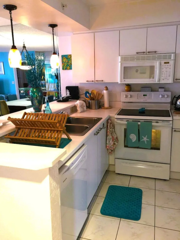 Beach View Oceanfront Condo in Ponce Inlet FL