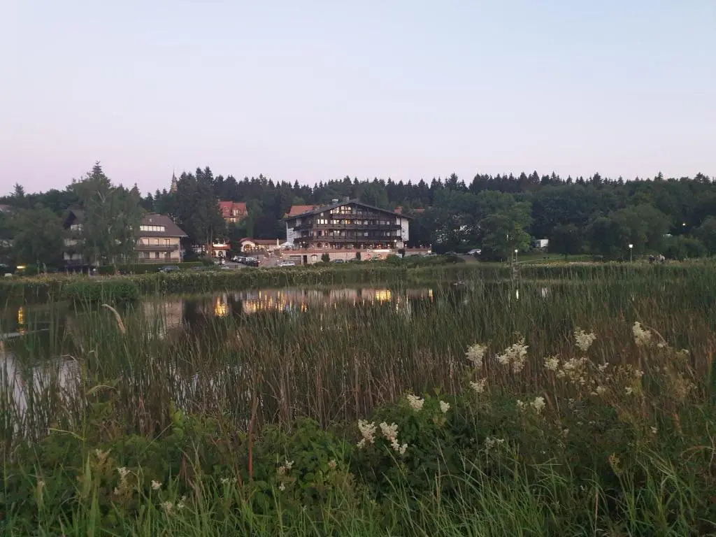 Vier Jahreszeiten, Appartment 723, Hahnenklee - Bockswiese