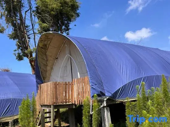 Dieng Glamping syari'ah