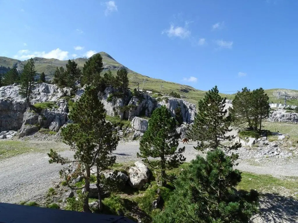 Appartement Arette, 1 pièce, 6 personnes - FR-1-602-57