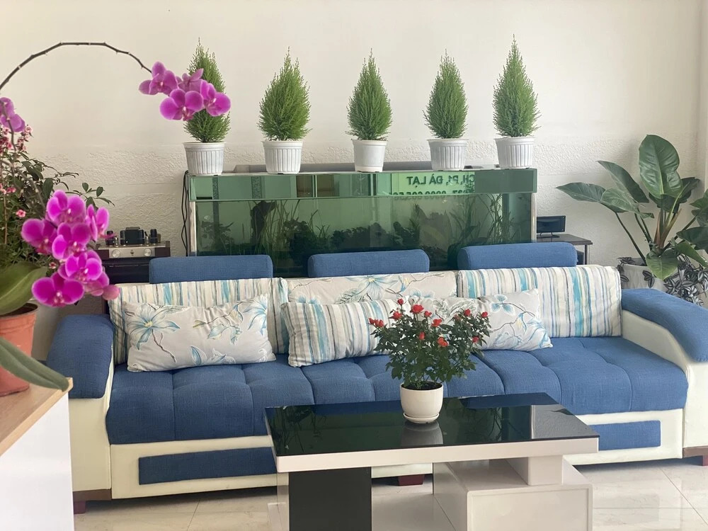 Tường Vy Dalat Central