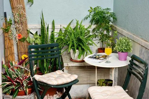 Central Garden Saldanha Apartment