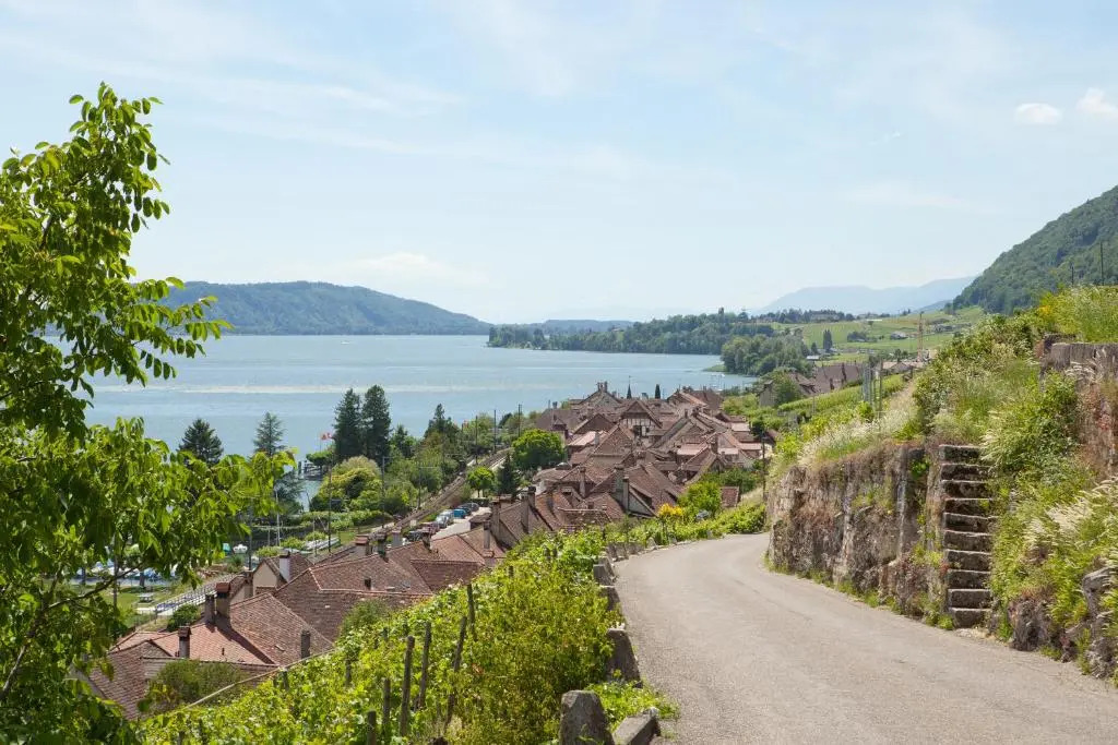 Alpes et Lac