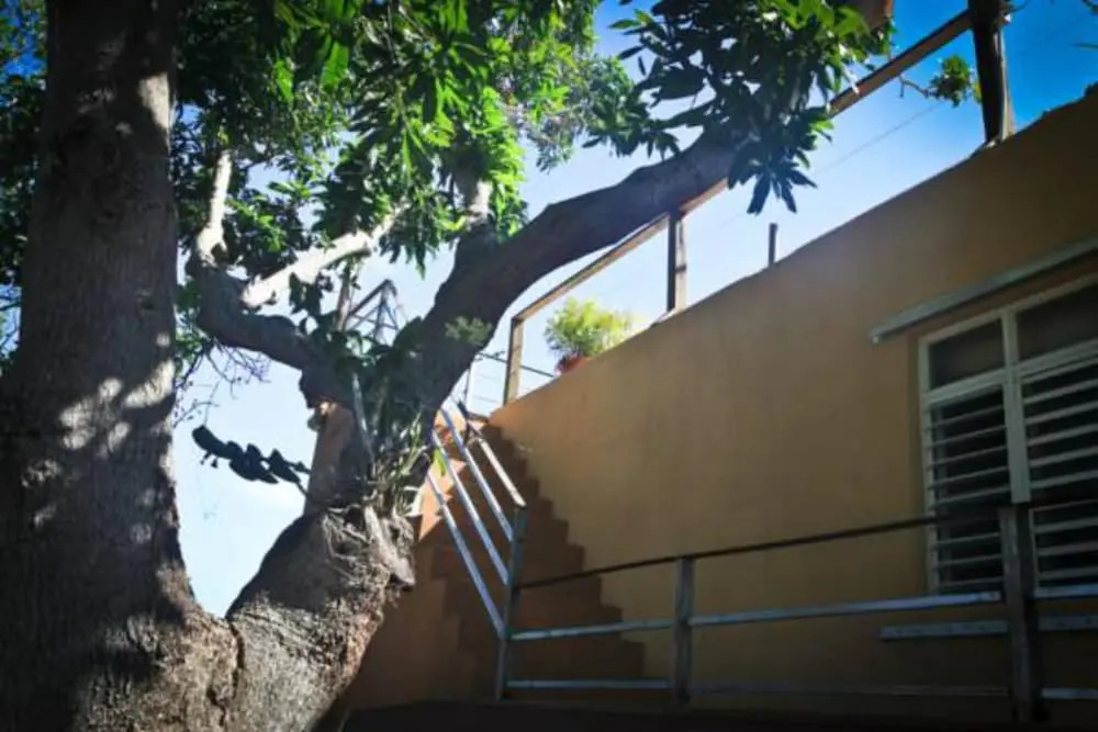 Villa Coral Guesthouse