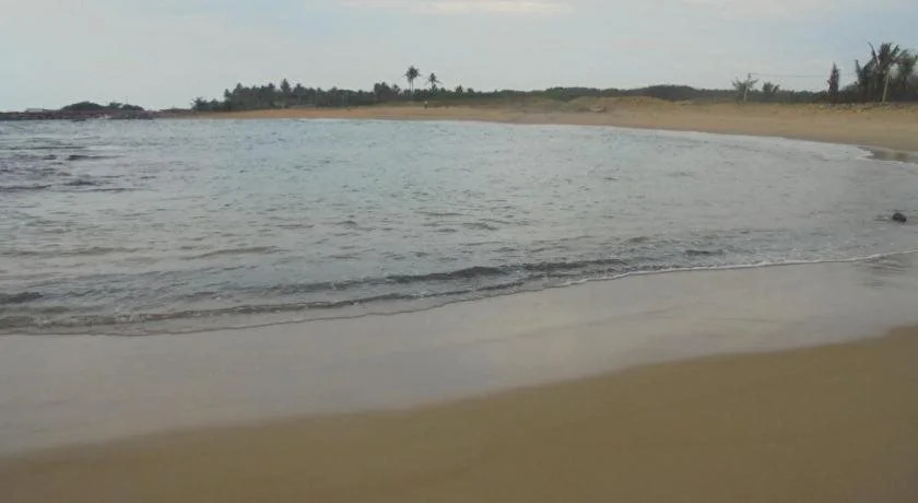 Sandy