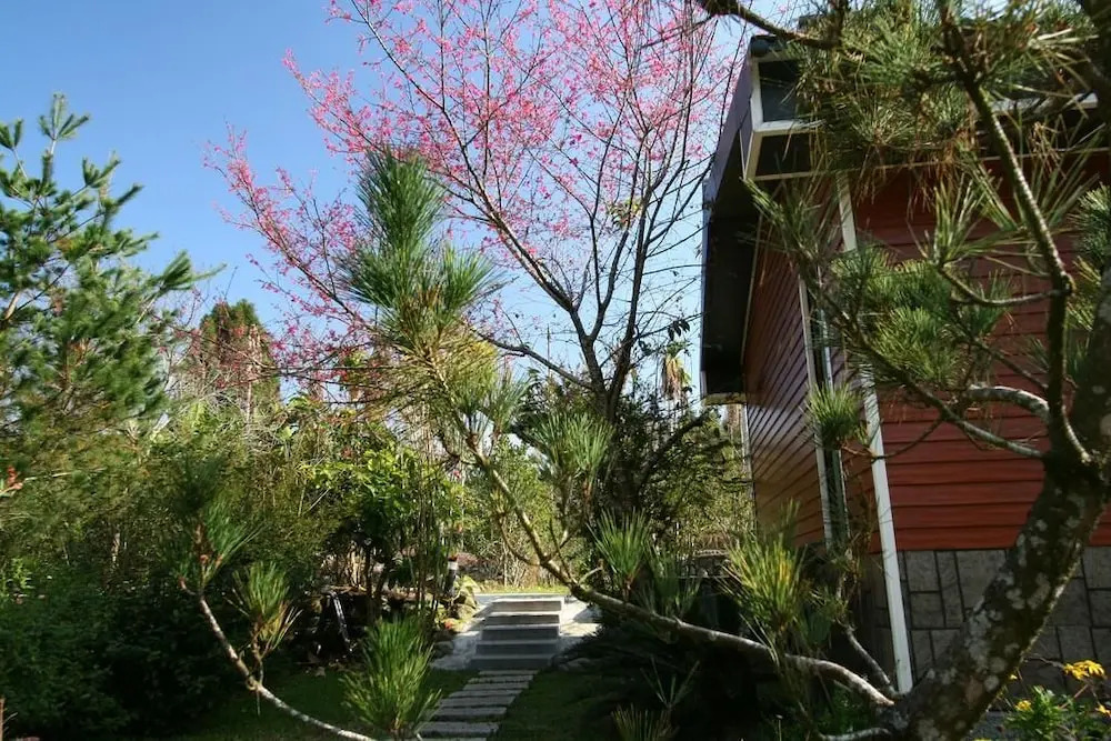 Hong Yang B&B