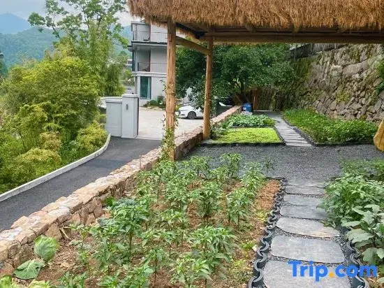 Hangzhou Lin'an Valley Tianyuan Homestay (Zhizhicun Branch)