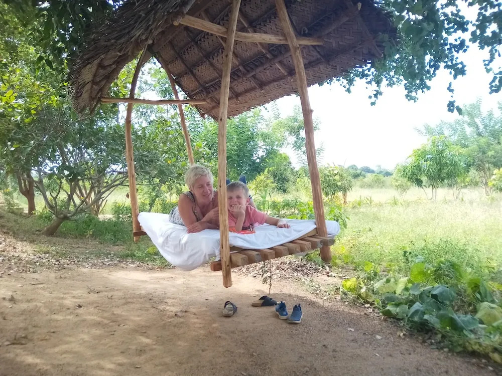 Wild eco safari