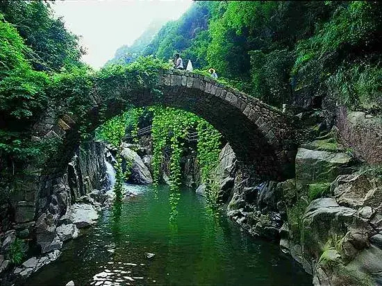 TAOYUAN