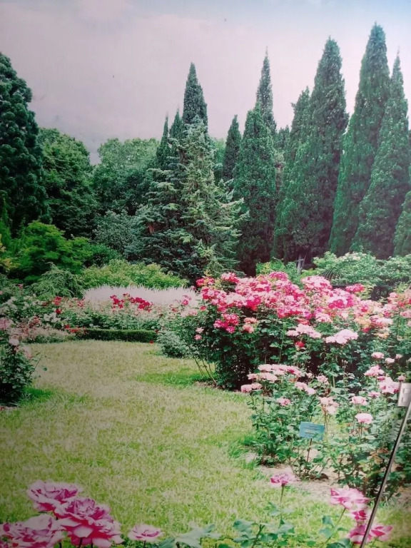 Lavender Hotel Quy Nhơn