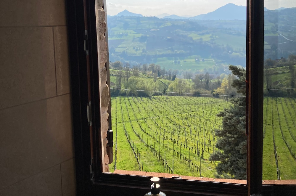Villa Verdicchio - B&B with wellness for winelovers