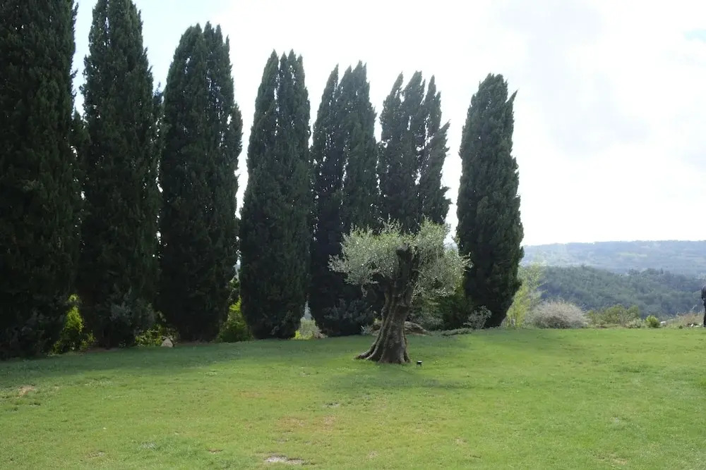 I Segreti del Borgo