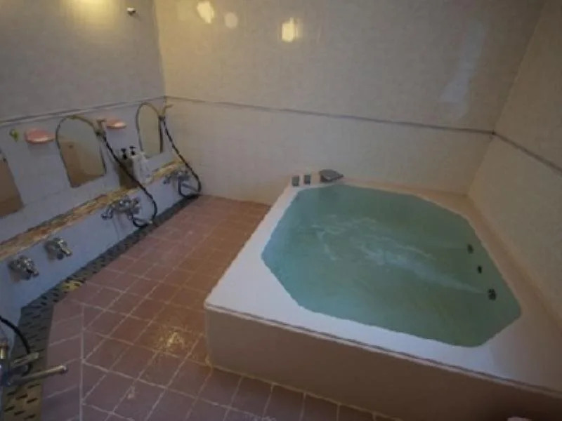 Guest House Vingt-Neuf 美好境界湯澤館