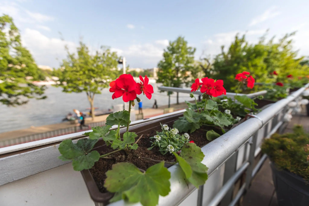 Island Hostel Budapest