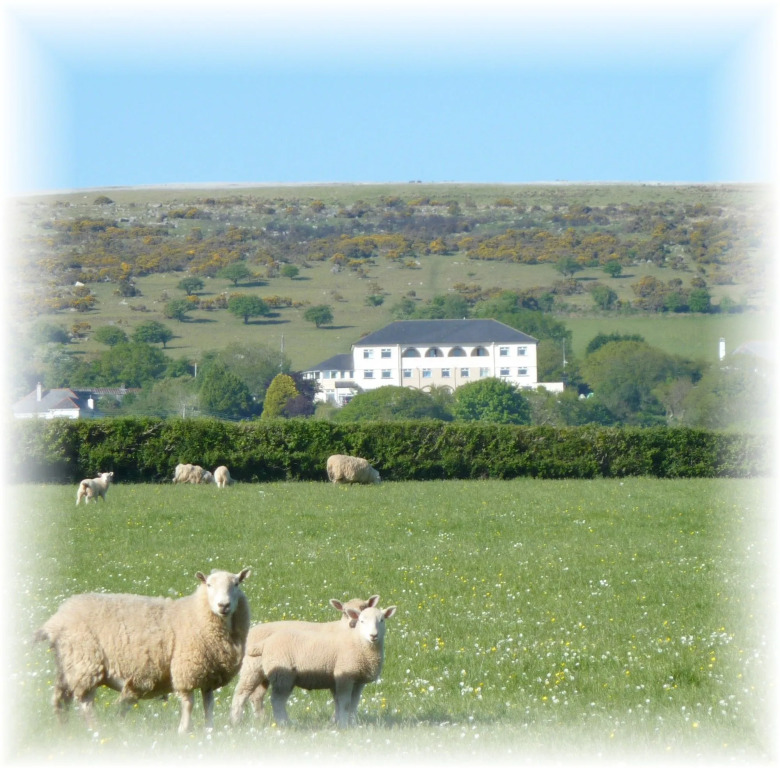 The Moorland Hotel