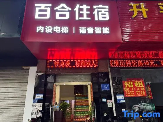 Oyo Baihe Hostel (Zhongshan Xiaolan)