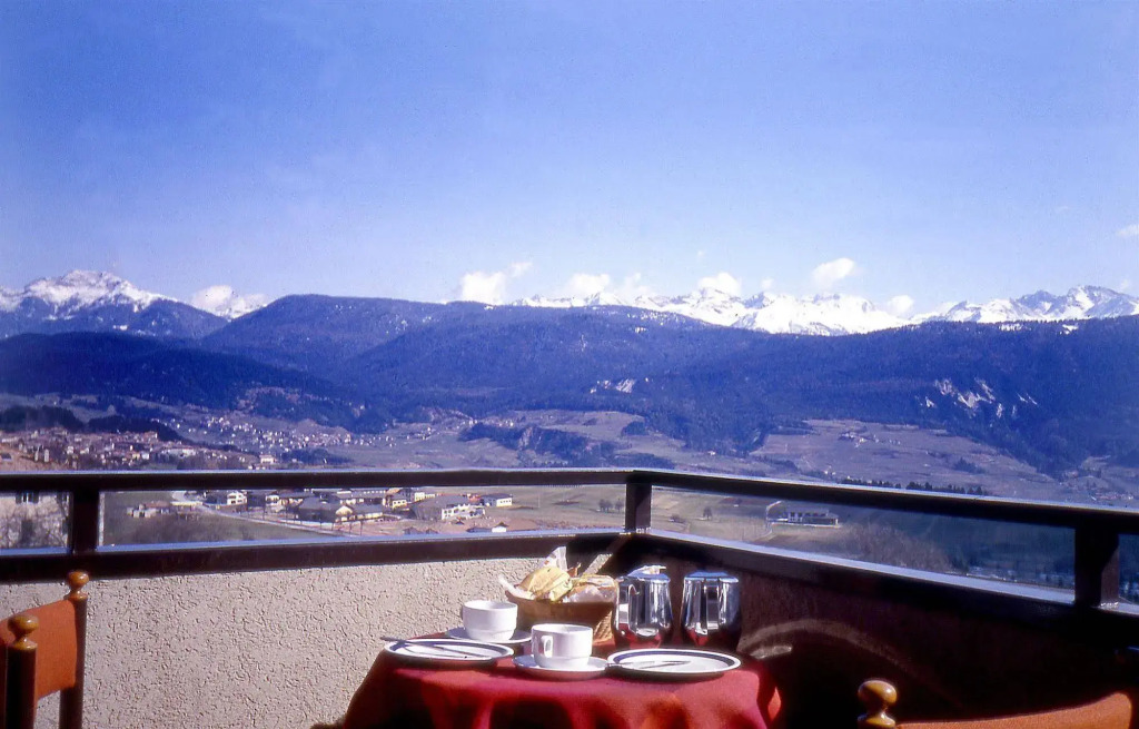 Hotel & Appartamenti Al Larice