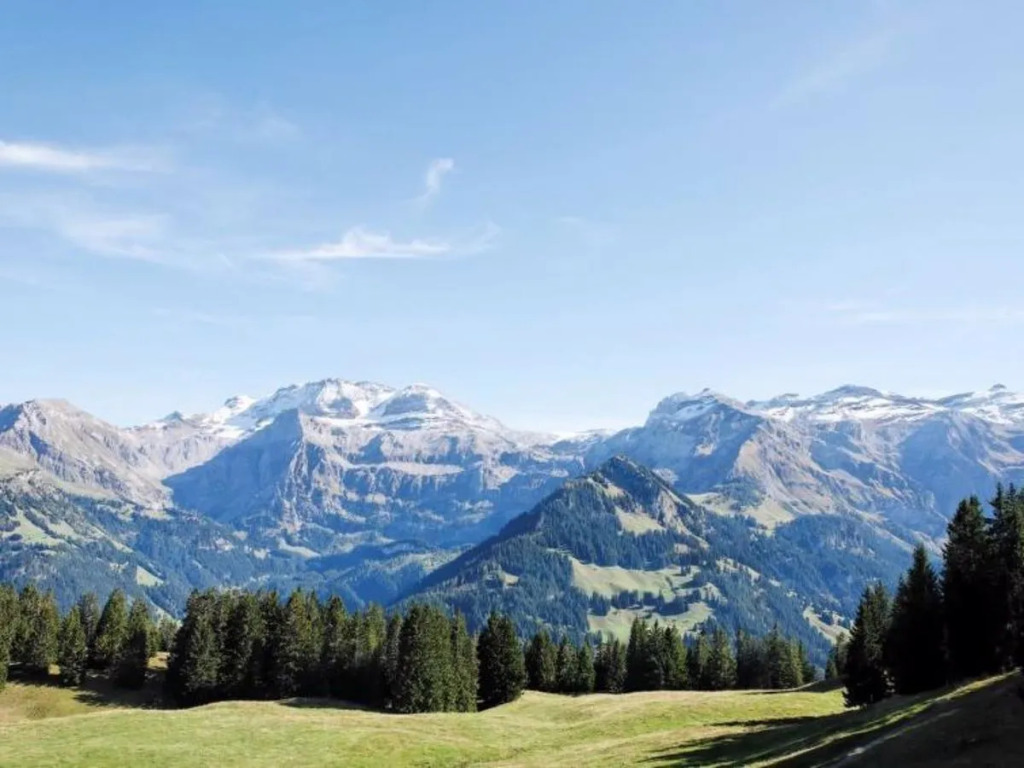 Apartment Wildbach Lenk