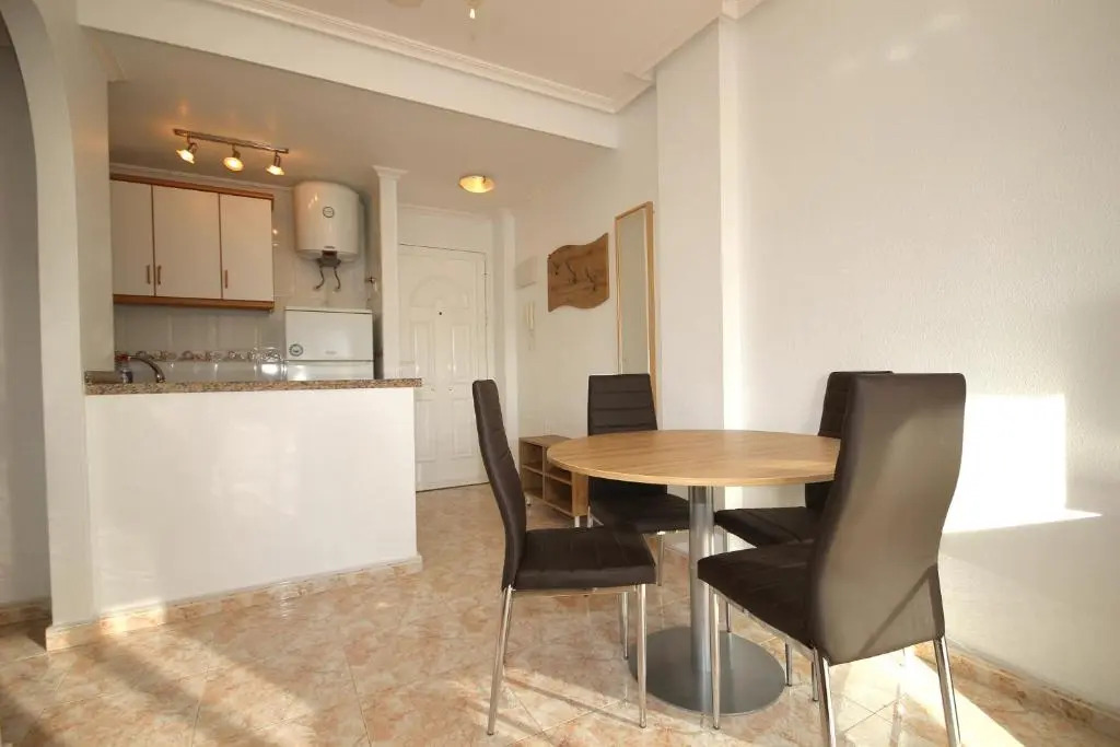 Apartment in La Mata Eneas 6