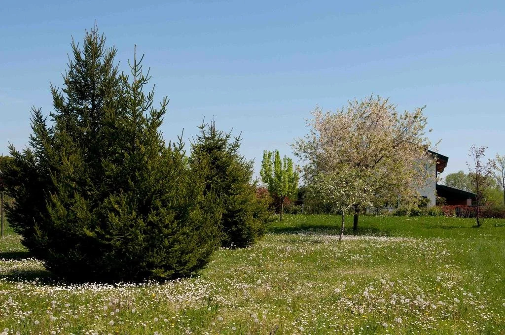 Villa Pinella