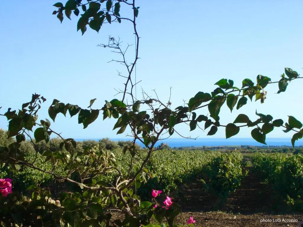 Villa Fiori Beach